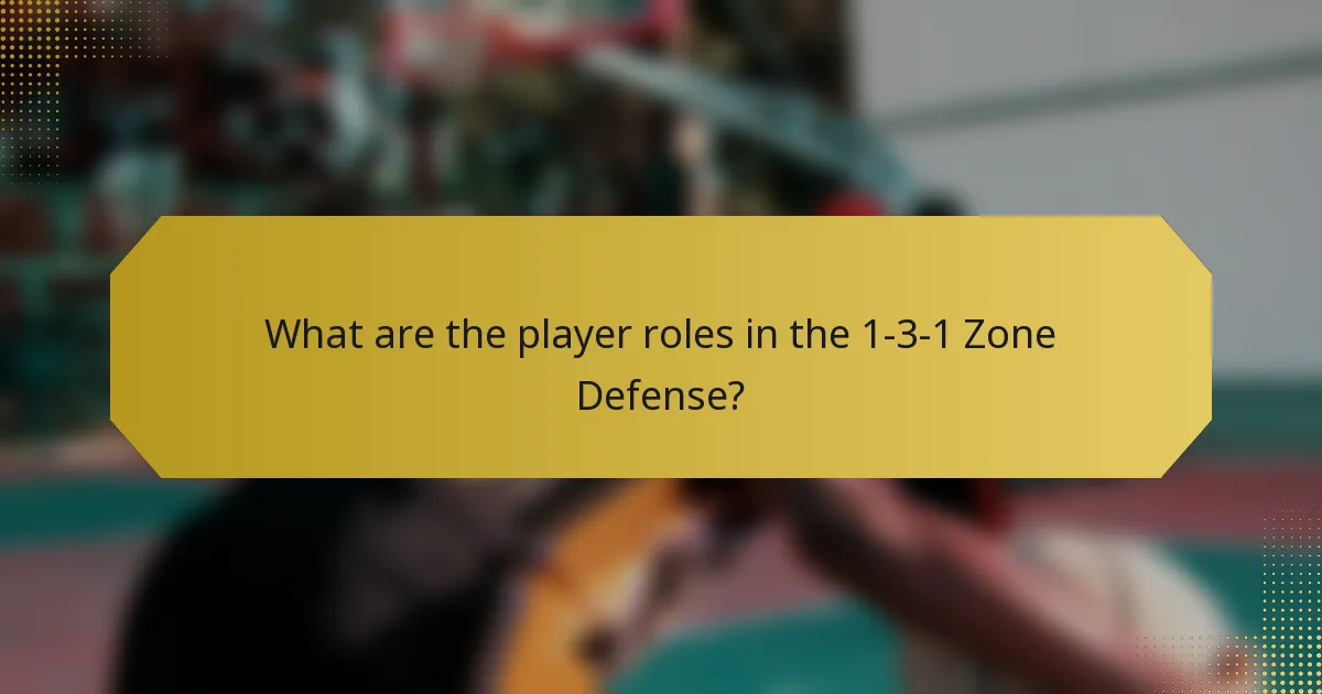What are the player roles in the 1-3-1 Zone Defense?