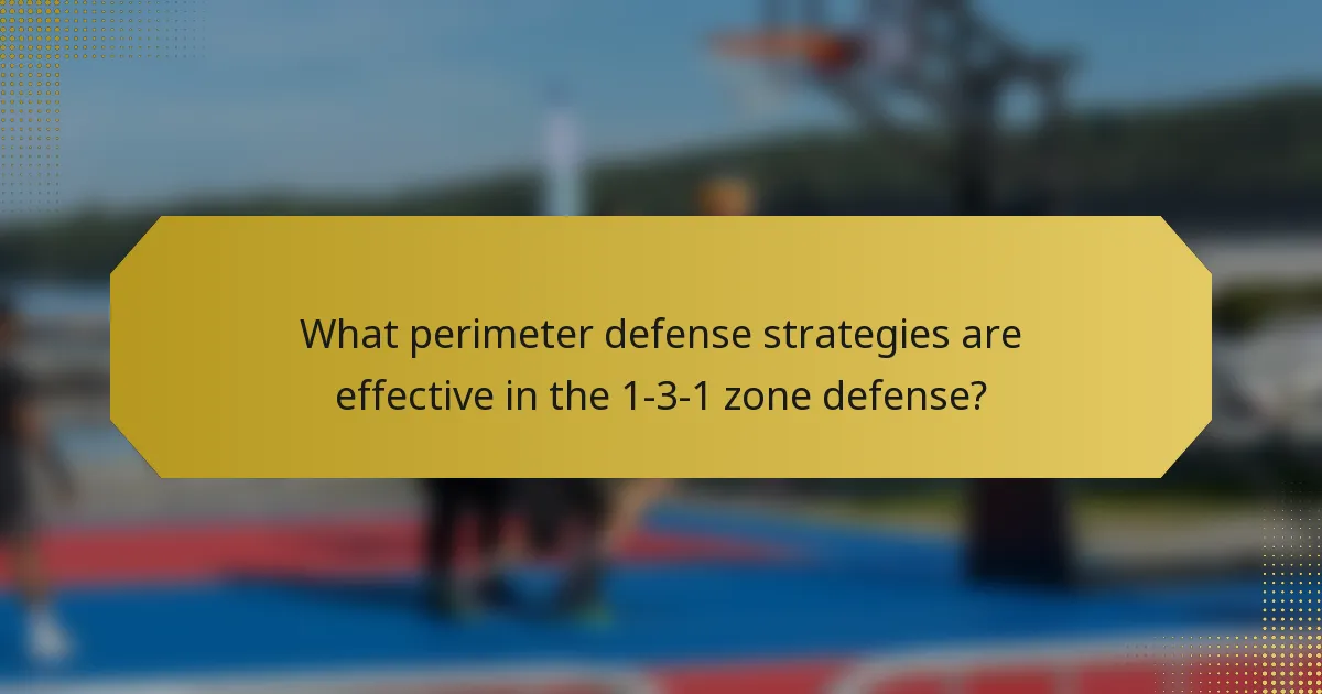 What perimeter defense strategies are effective in the 1-3-1 zone defense?